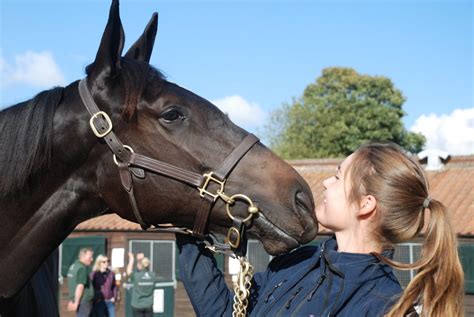 bbc horse